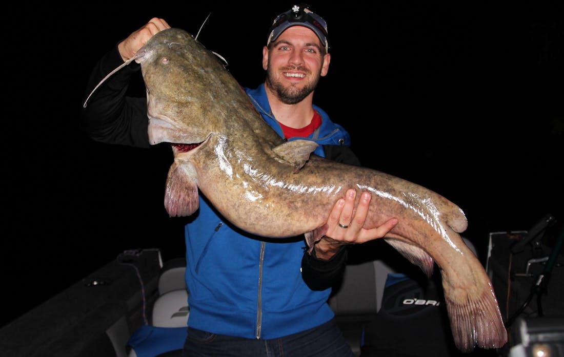 Monster Mississippi River Catfish 