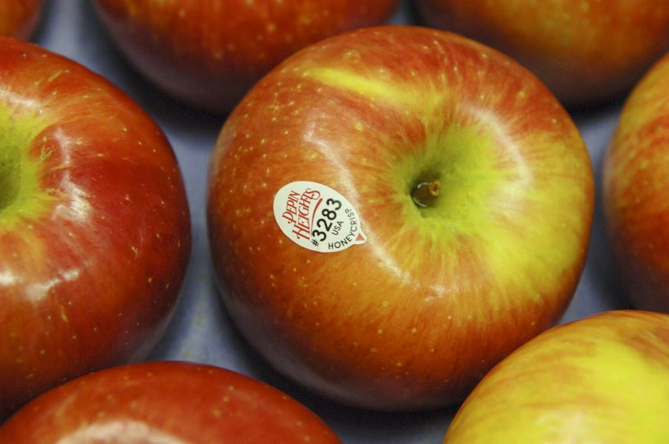 2005 file photo: Honeycrisp apples at Dennis Courtier's Pepin Heights orchard in Lake City, Minn.