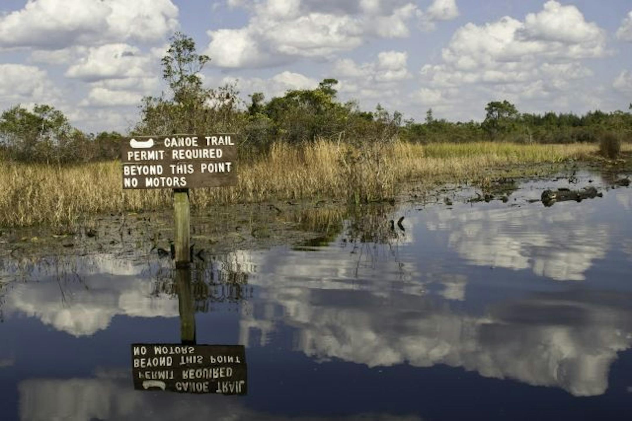 Camping at the Okefenokee National Wildlife Refuge.