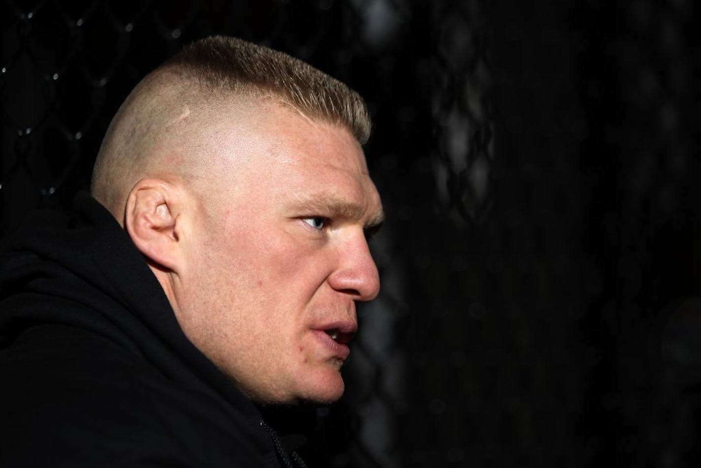 Brock Lesnar will be the underdog Friday when he faces similarly outsized Alistair Overeem.