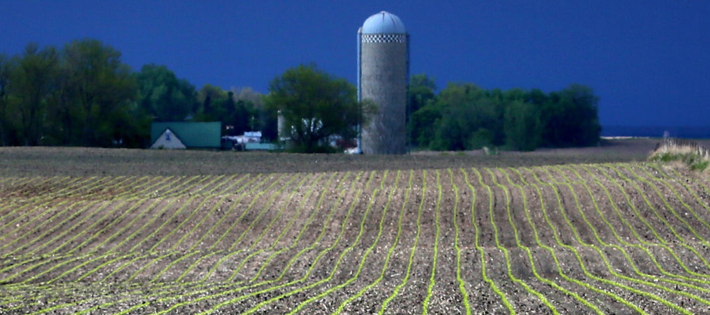 Cropland values surged 20 percent in Minnesota from last year after farmers posted their best year in decades.