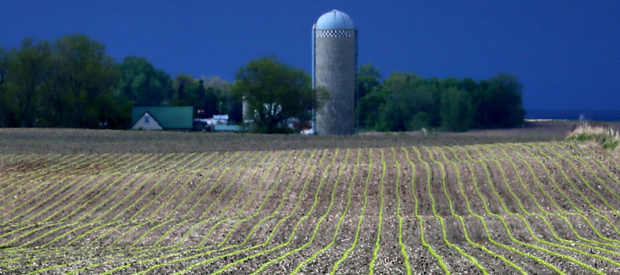 Cropland values surged 20 percent in Minnesota from last year after farmers posted their best year in decades.