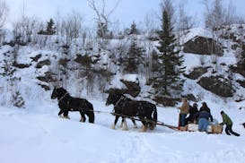Team of working horses carried ice blocks -- and harvesters -- to the icehouse at the Steger Center.