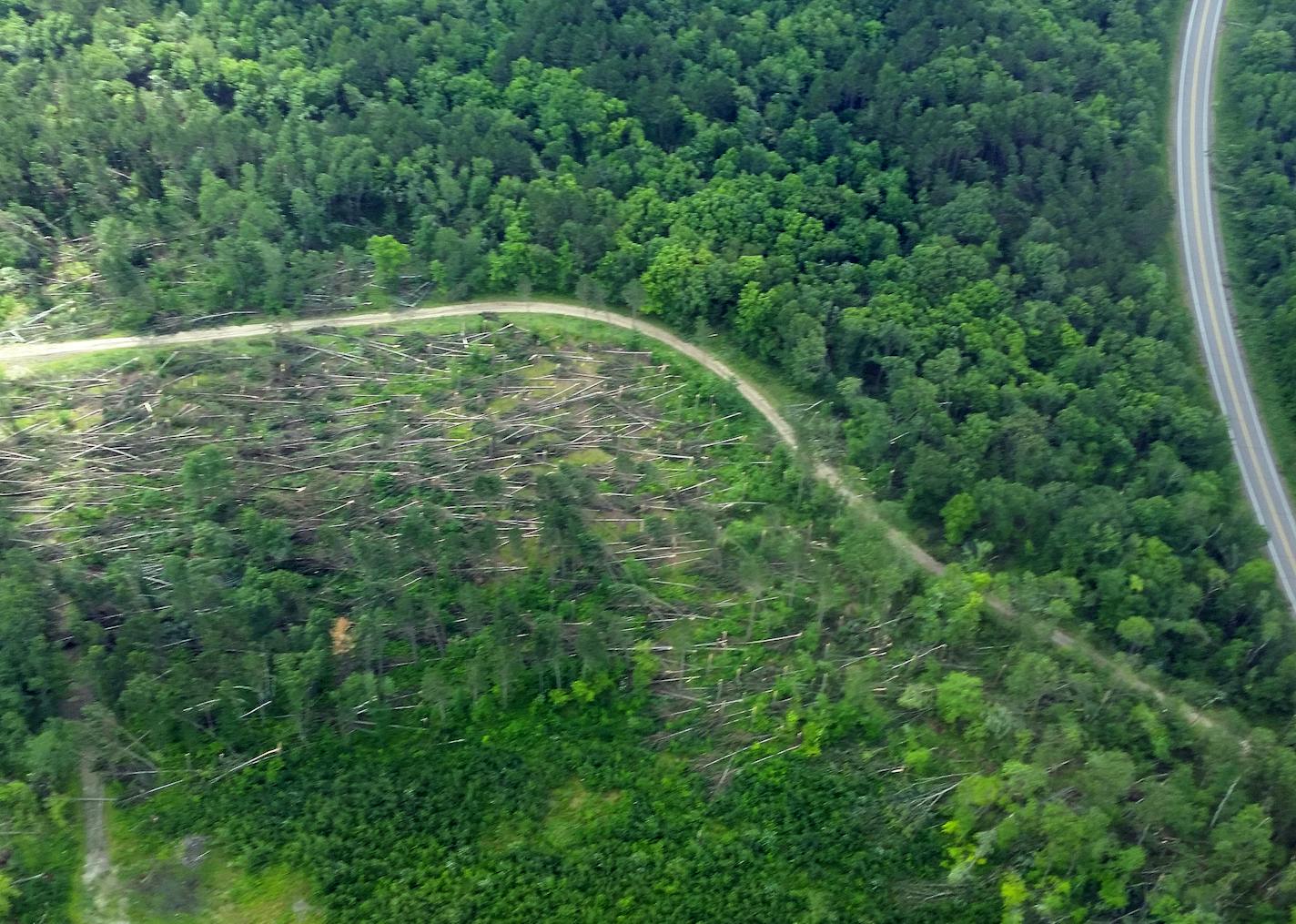 Damage from Sunday's storm included a large area of downed trees in Pillsbury State Forest near Brainerd.