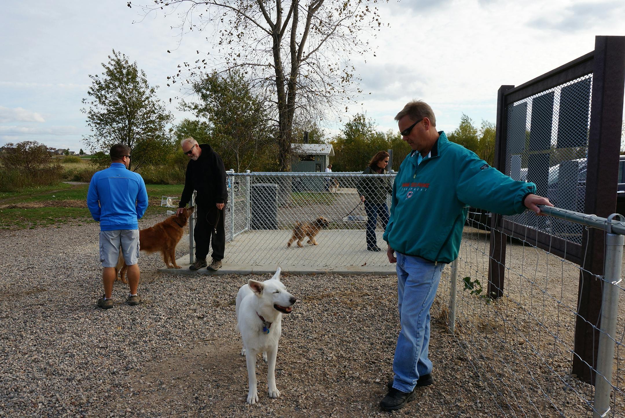 Dog park at Cleary Lake Regional Park. Photo by Dylan Peers McCoy