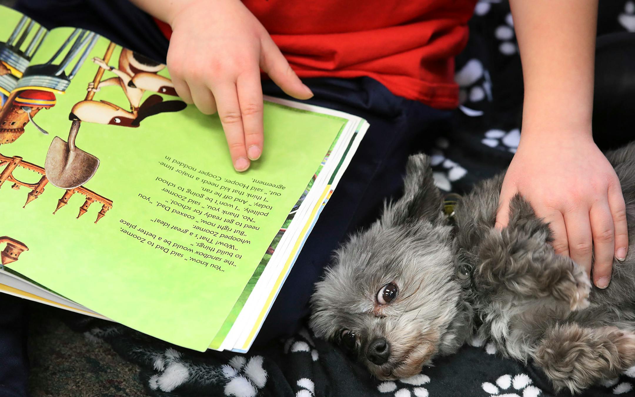 Luke Breese 7, read to Taz a therapy dog, and his owner Jennie Goelz at Cedar Ridge Elementary School Monday October 30,2017 in Eden Prairie, MN.