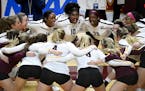 The Gophers celebrated their 3-0 sweep over the South Caroline Gamecocks in the second round of the NCAA tournament Saturday night. ] Aaron Lavinsky &