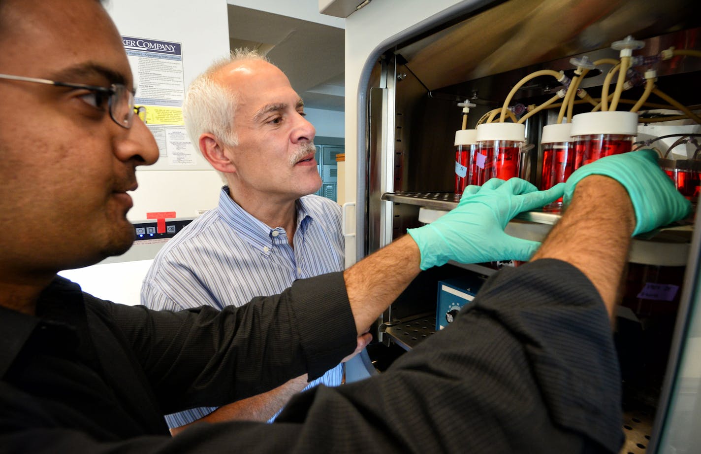 Zeeshan Syedain, left, and Robert Tranquillo, center, are producing tissue engineered heart valves growing in a bio reactor at the University of Minnesota. Friday, August 23, 2013 ] GLEN STUBBE * gstubbe@startribune.com