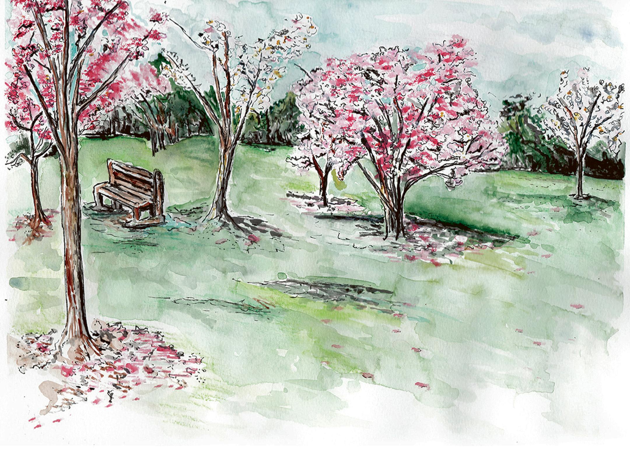 The crab apple trees explode in color at Lyndale Park Rose Garden!