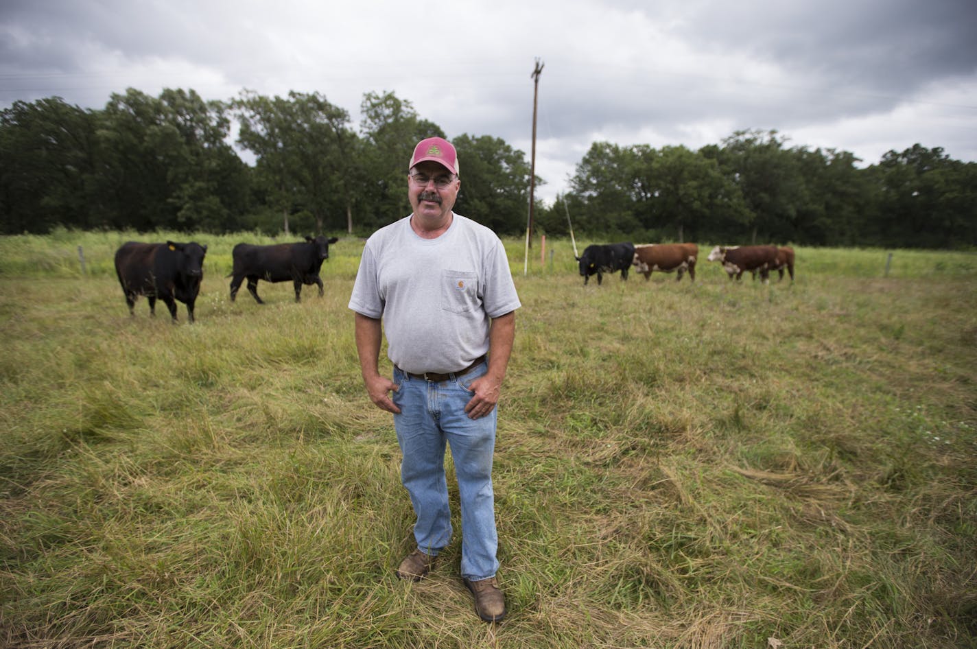 Bob Wilts, who has a small beef farm, is concerned about imported beef from places that have a history of foot-and-mouth disease. He was photographed on his farm near Big Lake, Minn., on Tuesday, July 28, 2015. ] RENEE JONES SCHNEIDER &#xef; reneejones@startribune.com