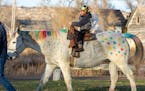 Wyatt Haas, 5, of Montana rides a horse decorated to look like a unicorn. MUST CREDIT: Courtesy of Tamara Choat.
