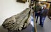 A canoe, found on Lake Minnetonka in 1934, is now the oldest dugout canoe in Minnesota. "We've always thought it was 200-300 years old," museum presid