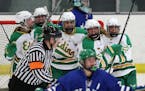 Edina High School forward Aliyah Lance (22) and Edina High School forward Emily Oden (16) celebrated with their teammates after scoring late in the se