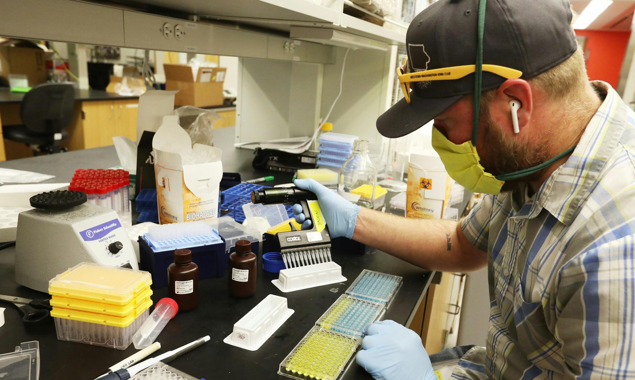 Jason Netland, a researcher at UW Medicine, works in a lab that produces monoclonal antibodies, which some scientists believe could one day be used to treat or prevent COVID-19, the illness caused by the coronavirus. (Ken Lambert/The Seattle Times/TNS)