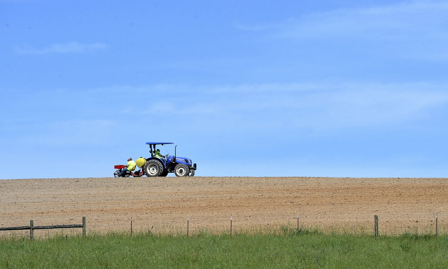 Farmer confidence in the immediate and longer-term is eroding, a monthly survey by Purdue University showed. File photos of farmers planting a Tennessee field with hemp last month.