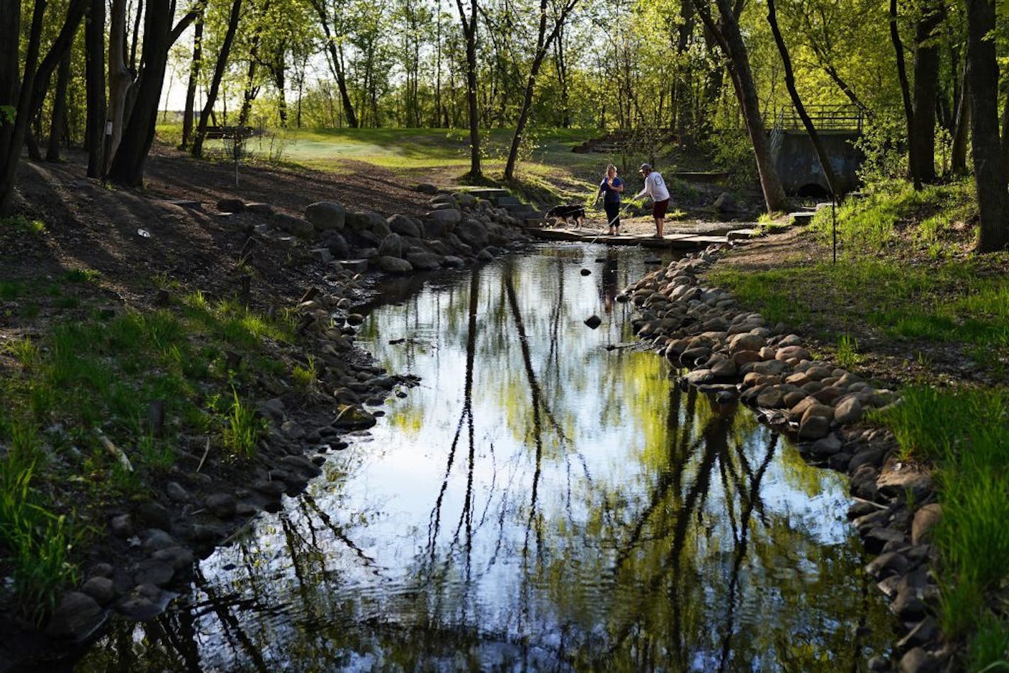 Kevin Duffy and Kari Bergman used a pole to fish their disk from Plymouth Creek as they played disk golf along with their dog Sota Friday evening..