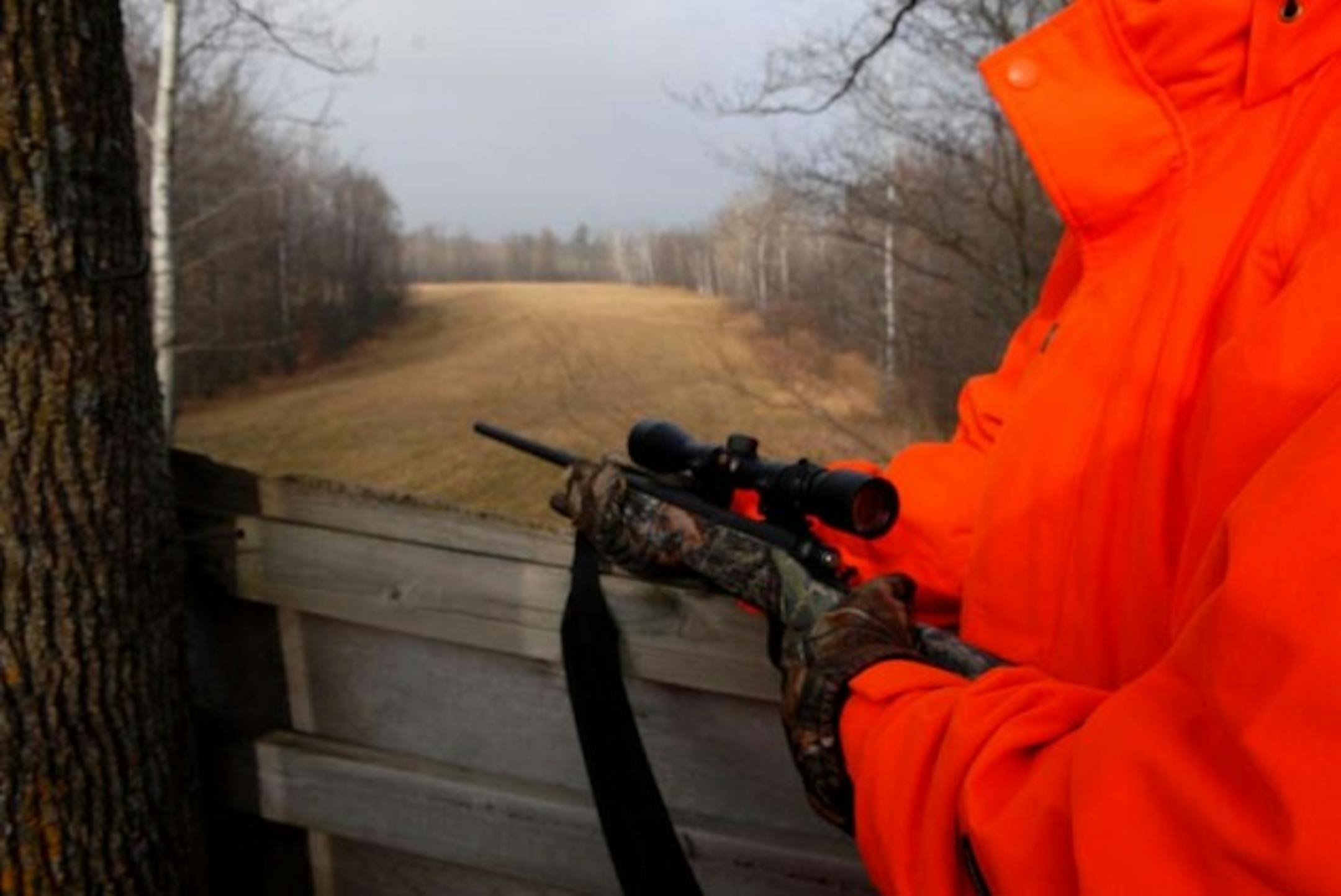 The utitlity of a hunting shack depends on the quality of deer habitat that surrounds it, and the placement of stands. Here a high stand overlooks a crossing between one stand of woods and another.