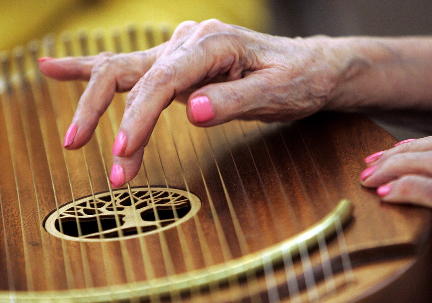 A resident at Walker Elder Suites played the Reverie Harp Wednesday, Nov. 26, 2008.