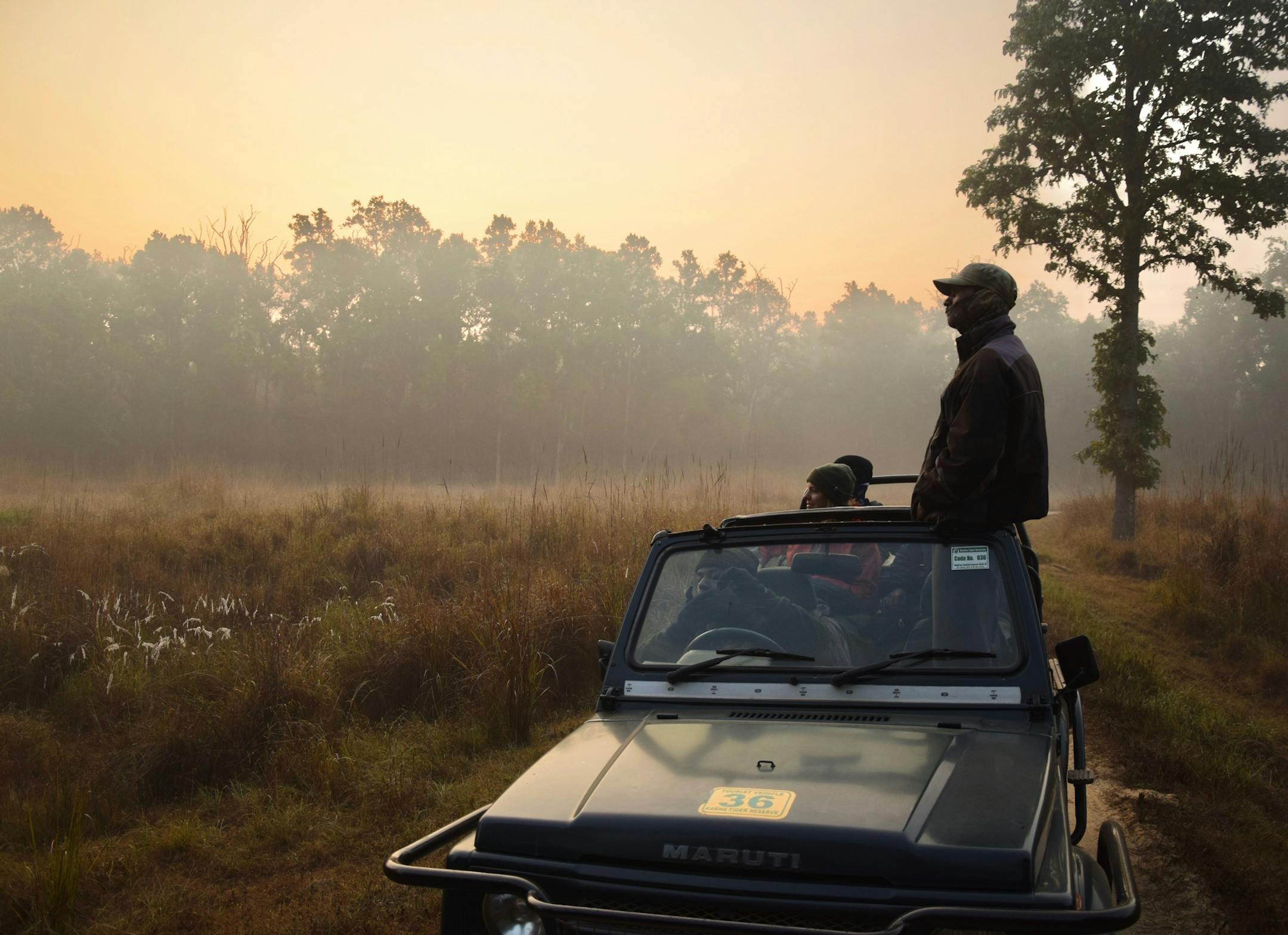 A wildlife spotter from the local Baiga tribe scans the horizon in Kanha National Park. (Mark Johanson/Chicago Tribune/TNS)