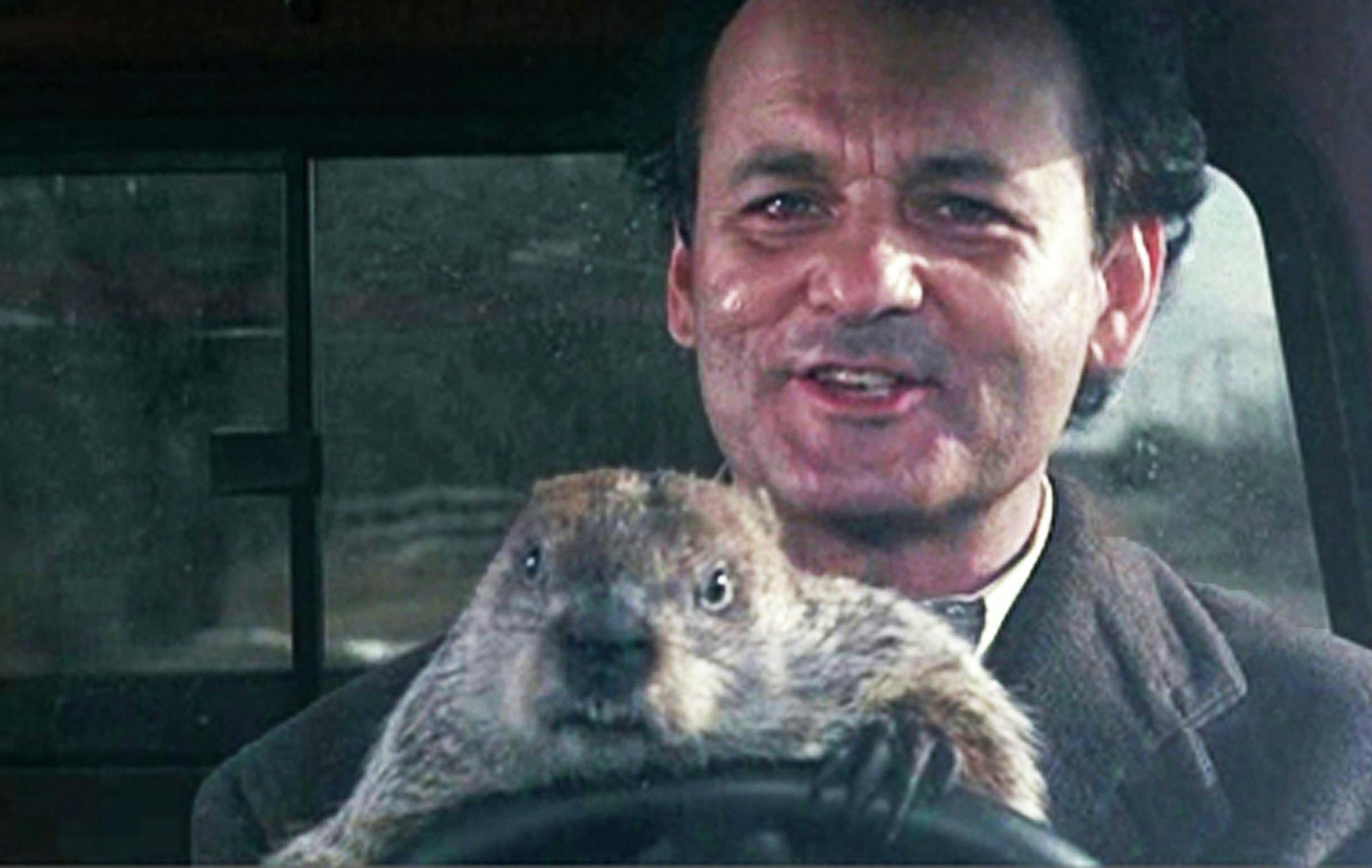 Bill Murray in "Groundhog Day"