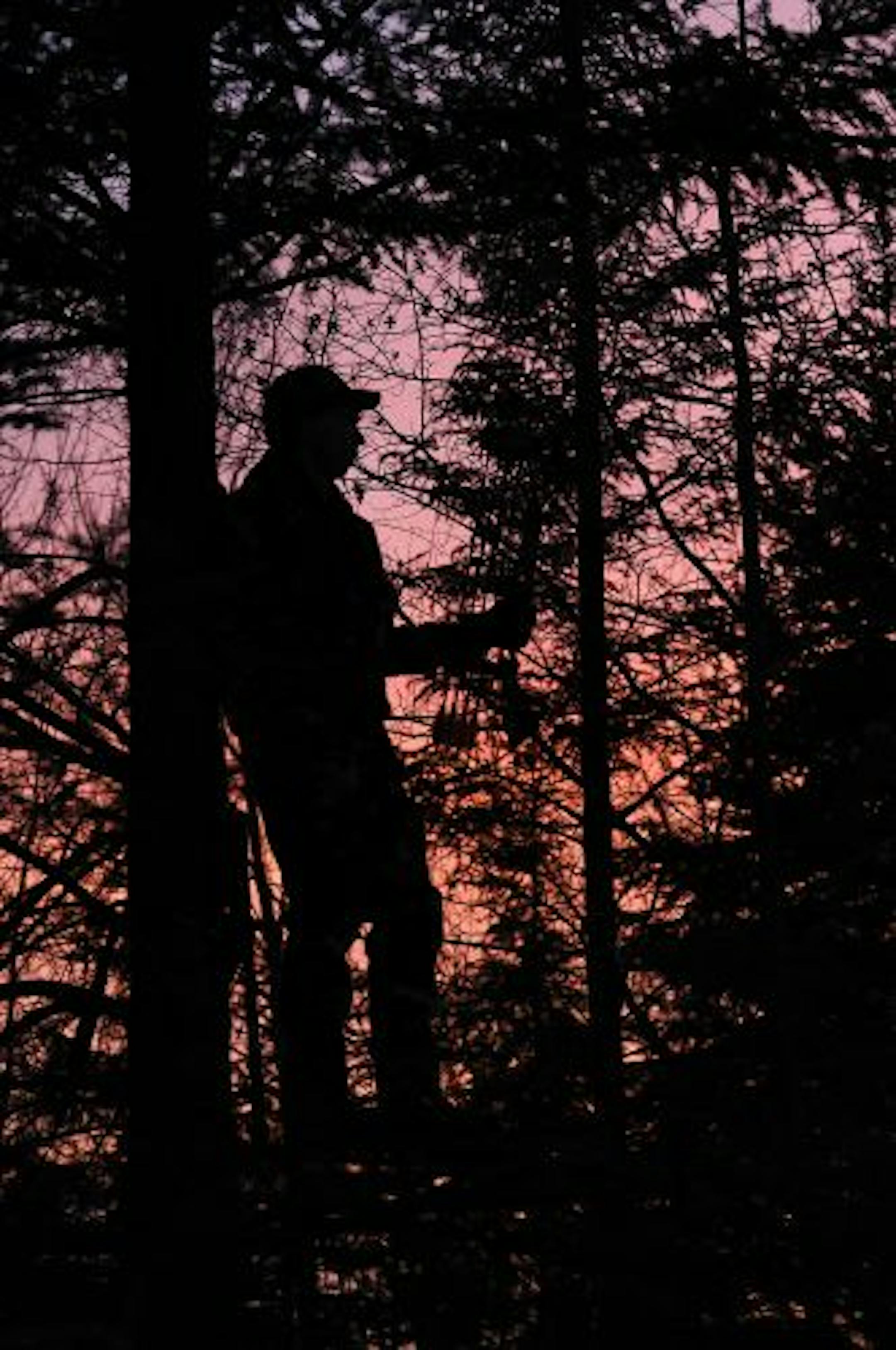 Deer or no deer, the sights and sounds gathered during time spent on a deer stand provide lasting memories.