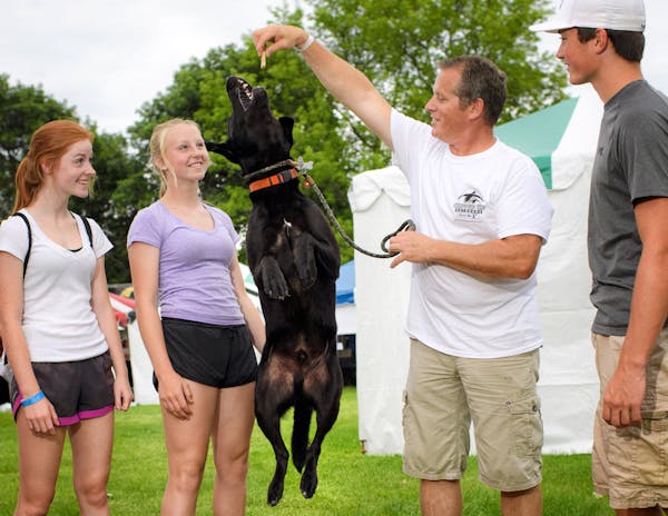 Mark Nelson of Lindstrom got the family Labrador retriever, Zeus, exercised. With Nelson were his children Adam, right, Anna, near left, and family fr