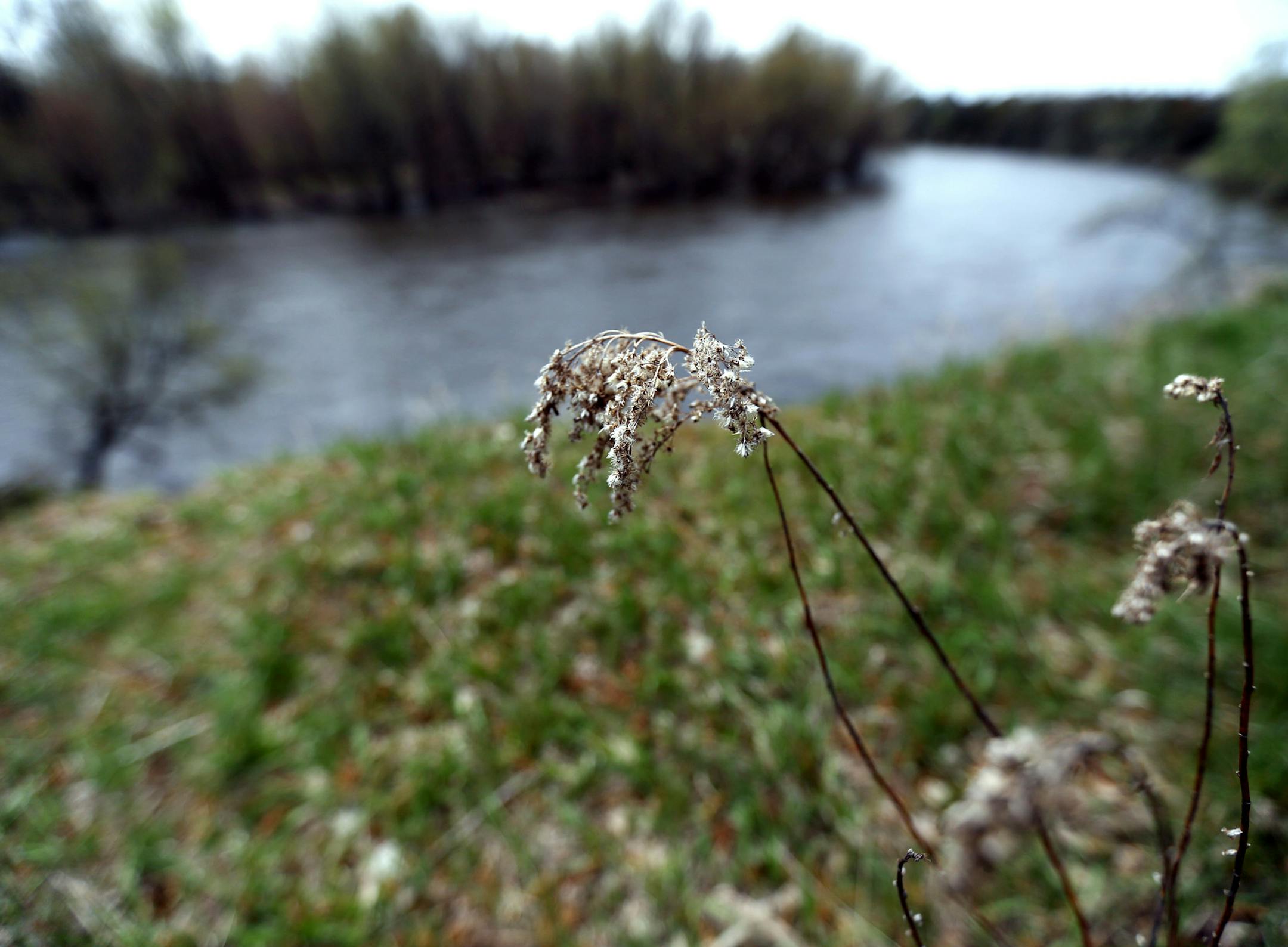 Many of the metro-area proposals focused on restoring prairie habitat. Anoka County proposed turning 120 acres of farmland into prairie and woodlands in Mississippi West Regional Park in Ramsey.