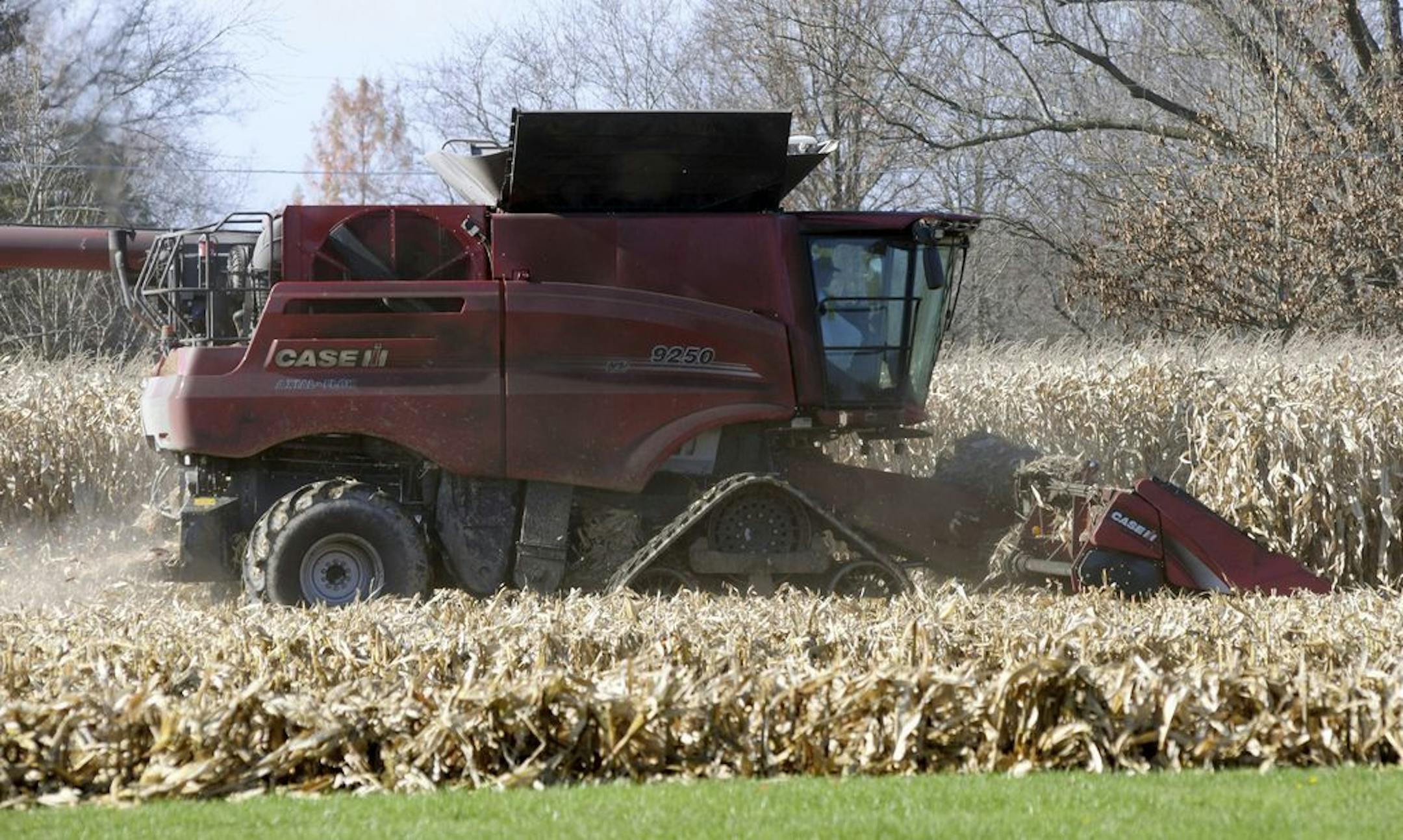Corn is harvested along Route 6 in Andover Township, Ohio, Saturday, Nov. 14, 2020.
