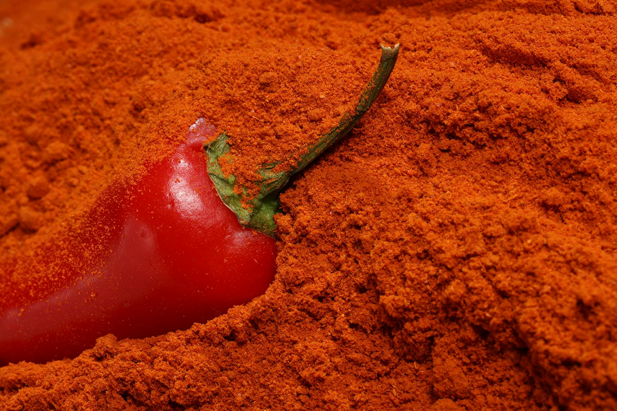A paprika spice illustration for the Taste cover.