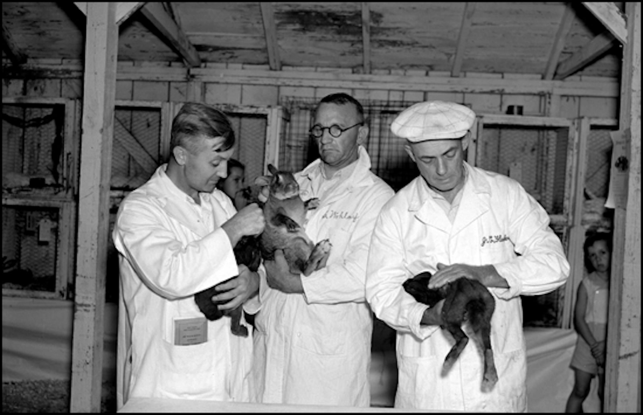 August 26, 1937 photograph from the Minneapolis Star Tribune News Negative Collection. Minnesota Historical Society Box #8.
