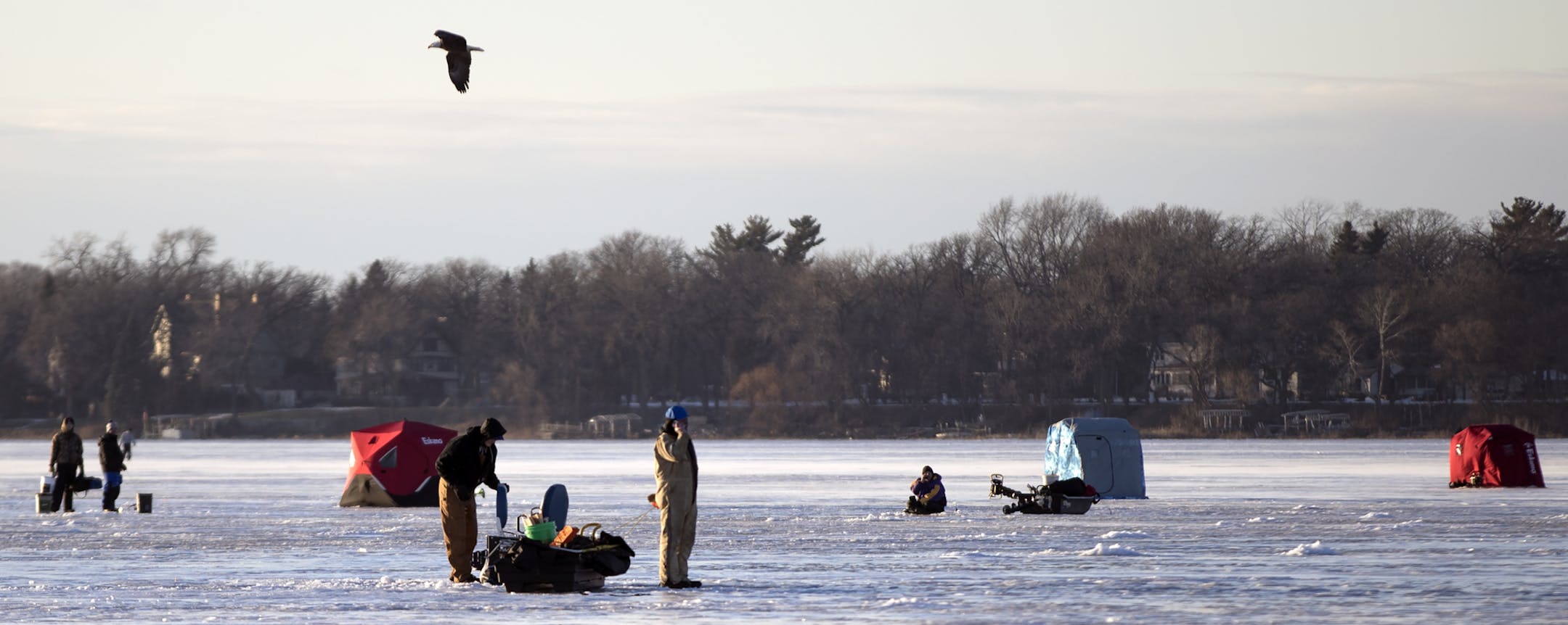 An eagle flew over ice anglers on White Bear Lake Wednesday December 28,2016 in White Bear, MN.] Jerry Holt / jerry. Holt@Startribune.com