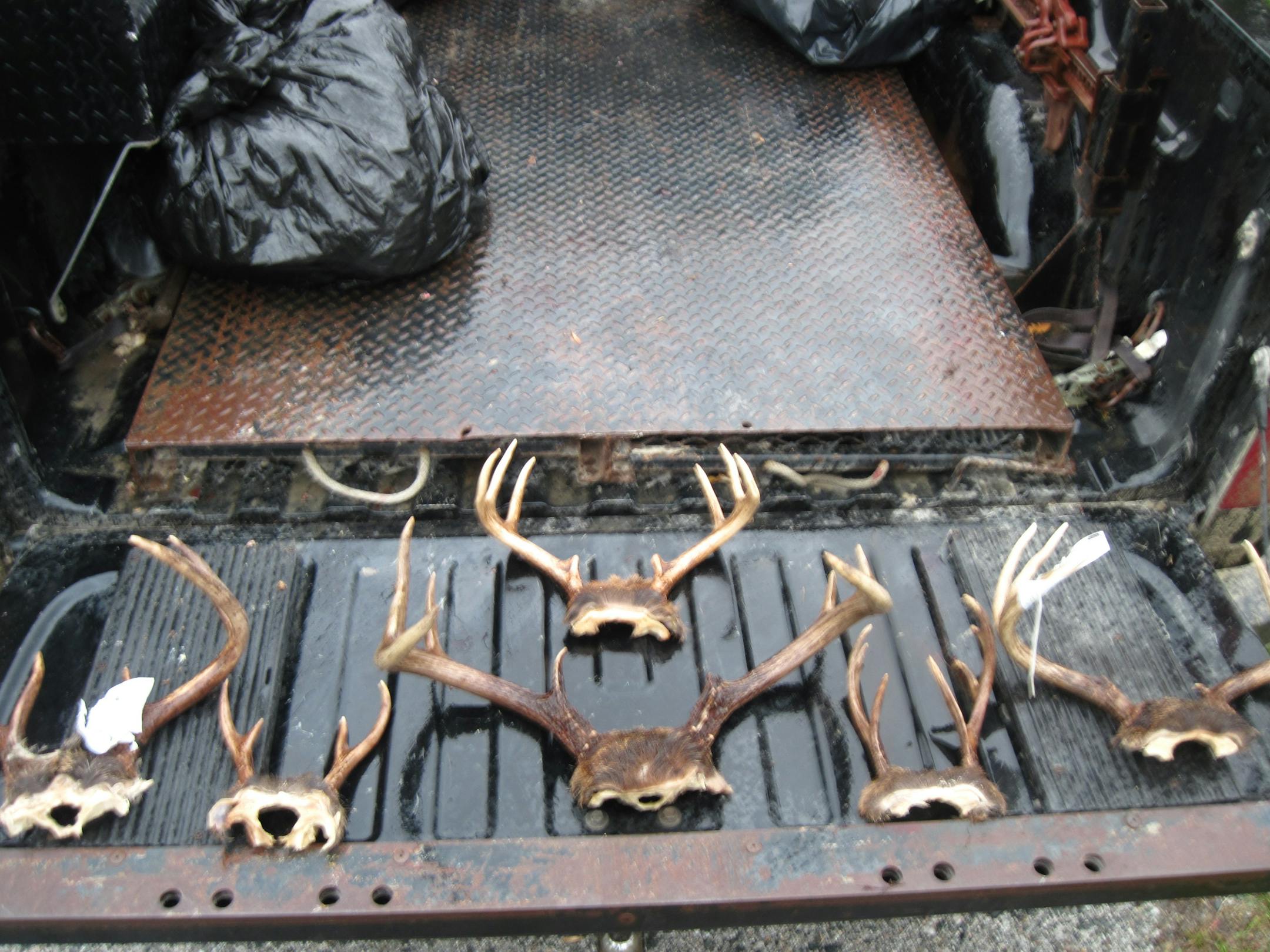 Evidence in the case of a hunting guide accused of illegal hunting activities.
