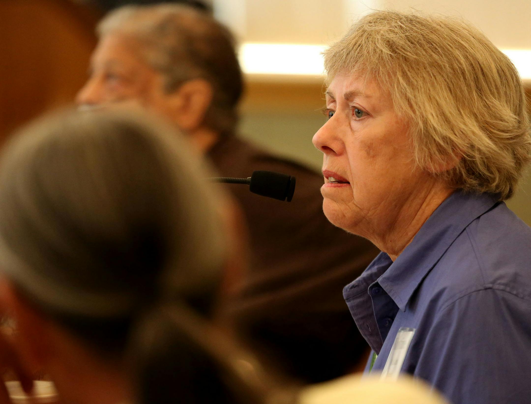 Kriss Osbakken, of the Green Party from Duluth, ran down the reasons why she was running during a "candidate school" workshop. ] (KYNDELL HARKNESS/STAR TRIBUNE) kyndell.harkness@startribune.com The Green Party kicks off its national convention at Macalester College in St. Paul, Min. Friday, July 25, 2014.