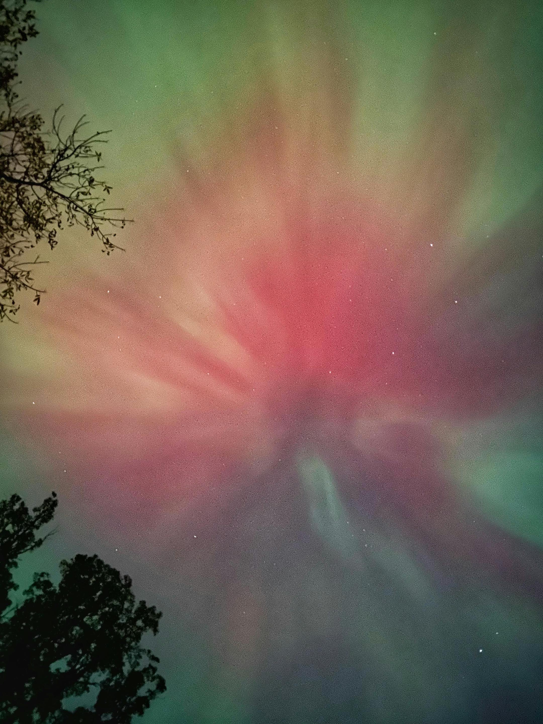 The northern lights.
