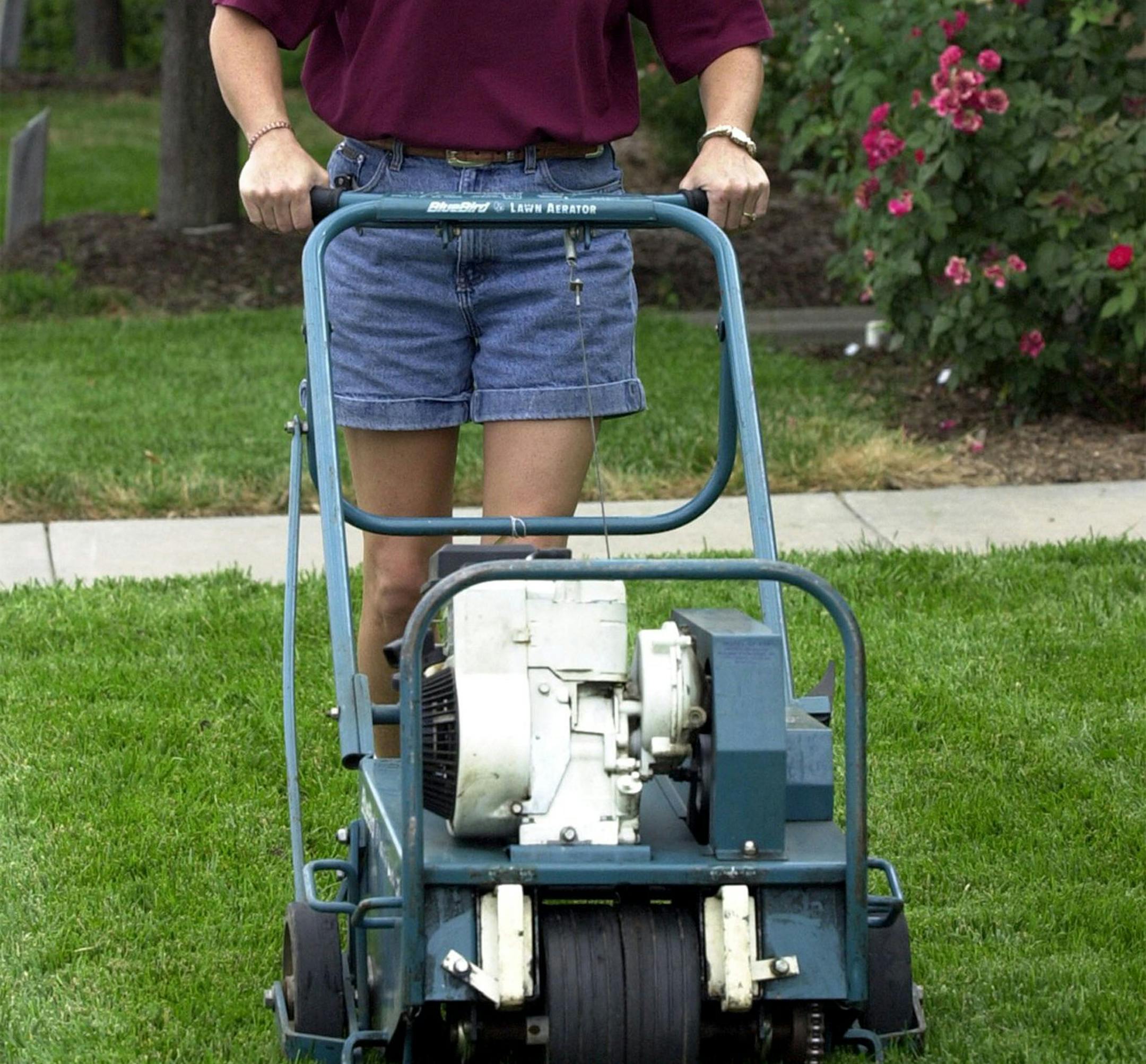 You want a healthy, green lawn, but you don't want to spend every weekend working on it. Know your grass before you call the professionals, a lawn care service. Here, master gardener Melissa Knapp uses a core aerator as part of reseeding a lawn in Wichita, Kansas. (Jamie Oppenheimer/Wichita Eagle/MCT) ORG XMIT: 1060246