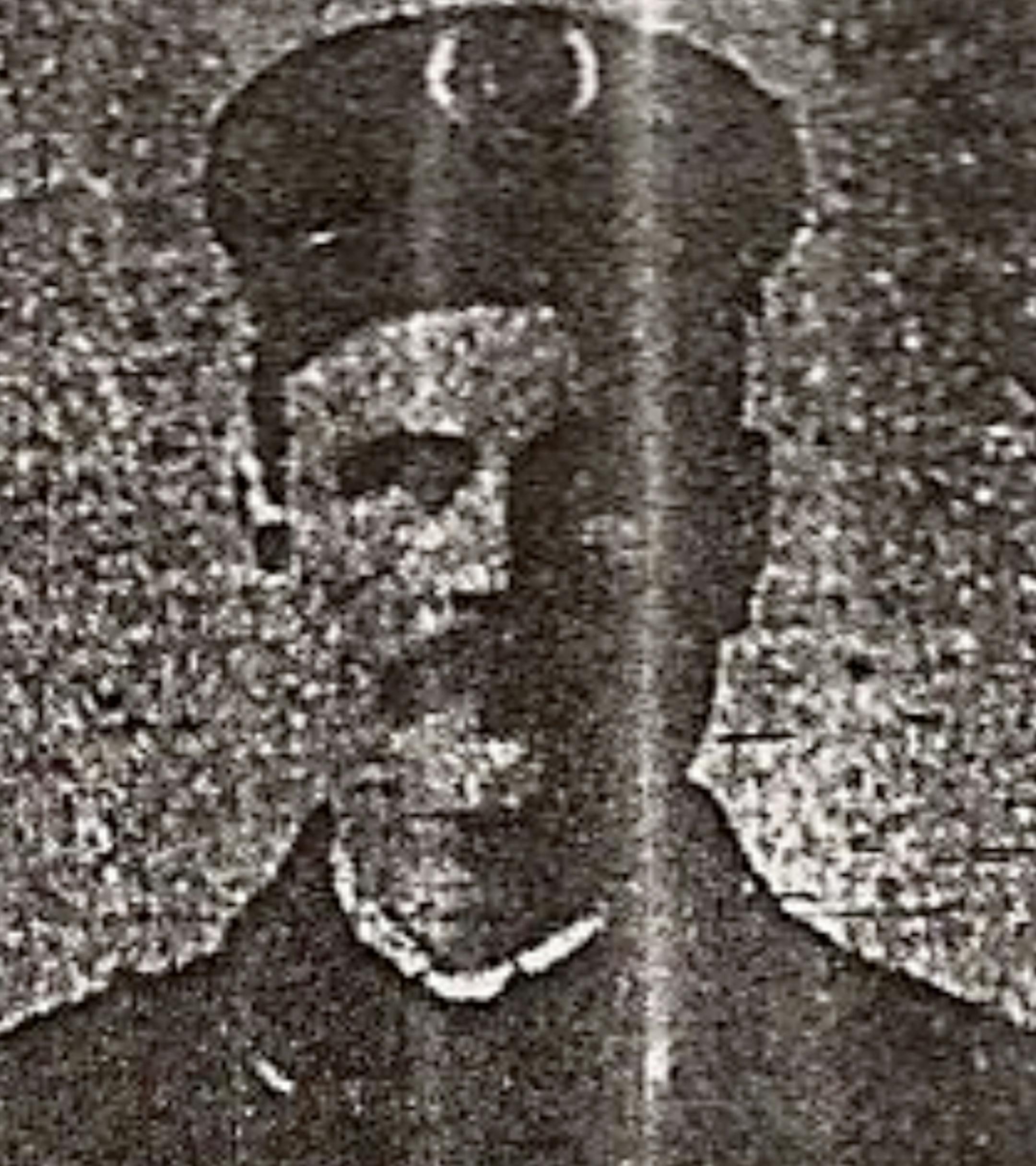 Joseph J. Ollinger