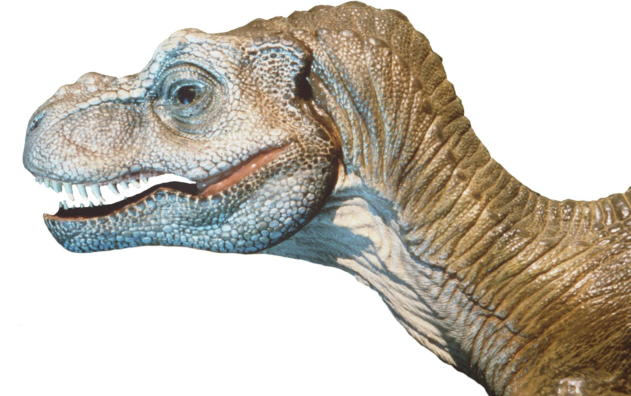 American Museum of Natural History. From the exibit " The Lost World: The Life and Times of Dinosaurs" May 24- Sept.30, 1997 at the New york Museum ORG XMIT: MIN2015022408561713