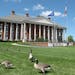 Canada geese wander the grounds of the Redlin Art Center in Watertown, S.D., a free museum showcasing original paintings by the former Twin Cities res