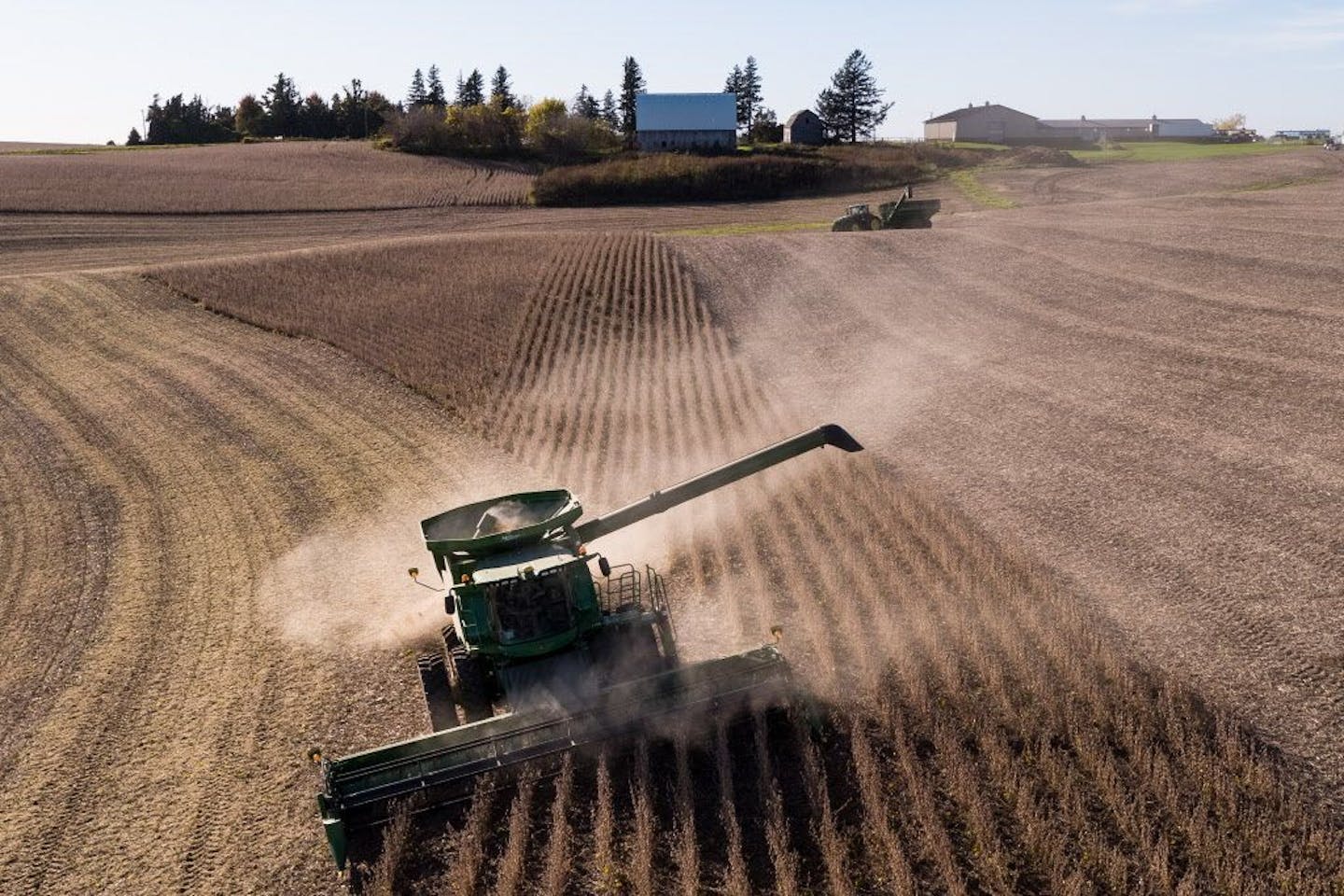 Steve Carlson, with Carlson Farms, harvests soy beans in his combine on Tuesday, Oct. 17, 2017 in Welch, Minn.