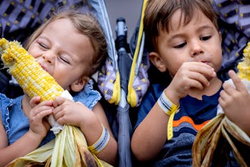 Rose Gleason, 3, and James Gleason, 5, of Atlanta ate corn on the cob Thursday at the Minnesota State Fair.