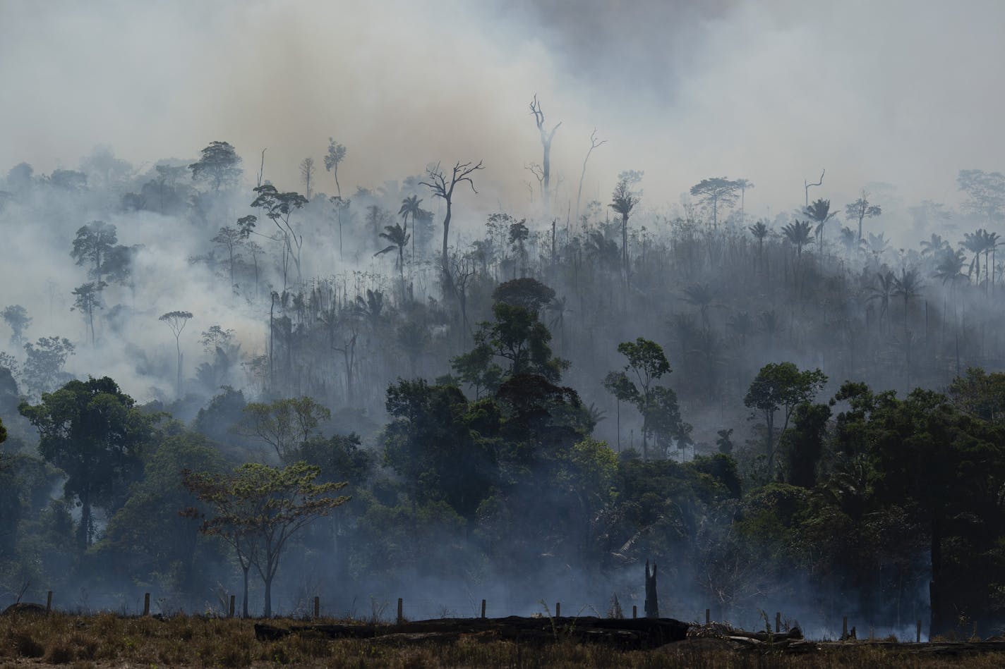 Fire consumes the Amazon rainforest in Altamira, Brazil, on Tuesday, Aug. 27, 2019. Fires across the Brazilian Amazon have sparked an international outcry for preservation of the world's largest rainforest. (AP Photo/Leo Correa)