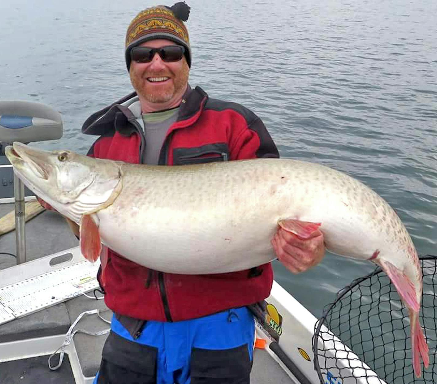 Monster muskie: Dominic Hoyos of Stillwater hoists a bulbous muskie he called the "Queen of Mille Lacs.'' The fish was caught on Lake MIlle Lacs the day before Thanksgiving with his friend Dean Block of Ramsey. The fish, with a 30-inch girth and 55 inches long, was released safely. ORG XMIT: fMpo1jvBaQ3mJootSY77