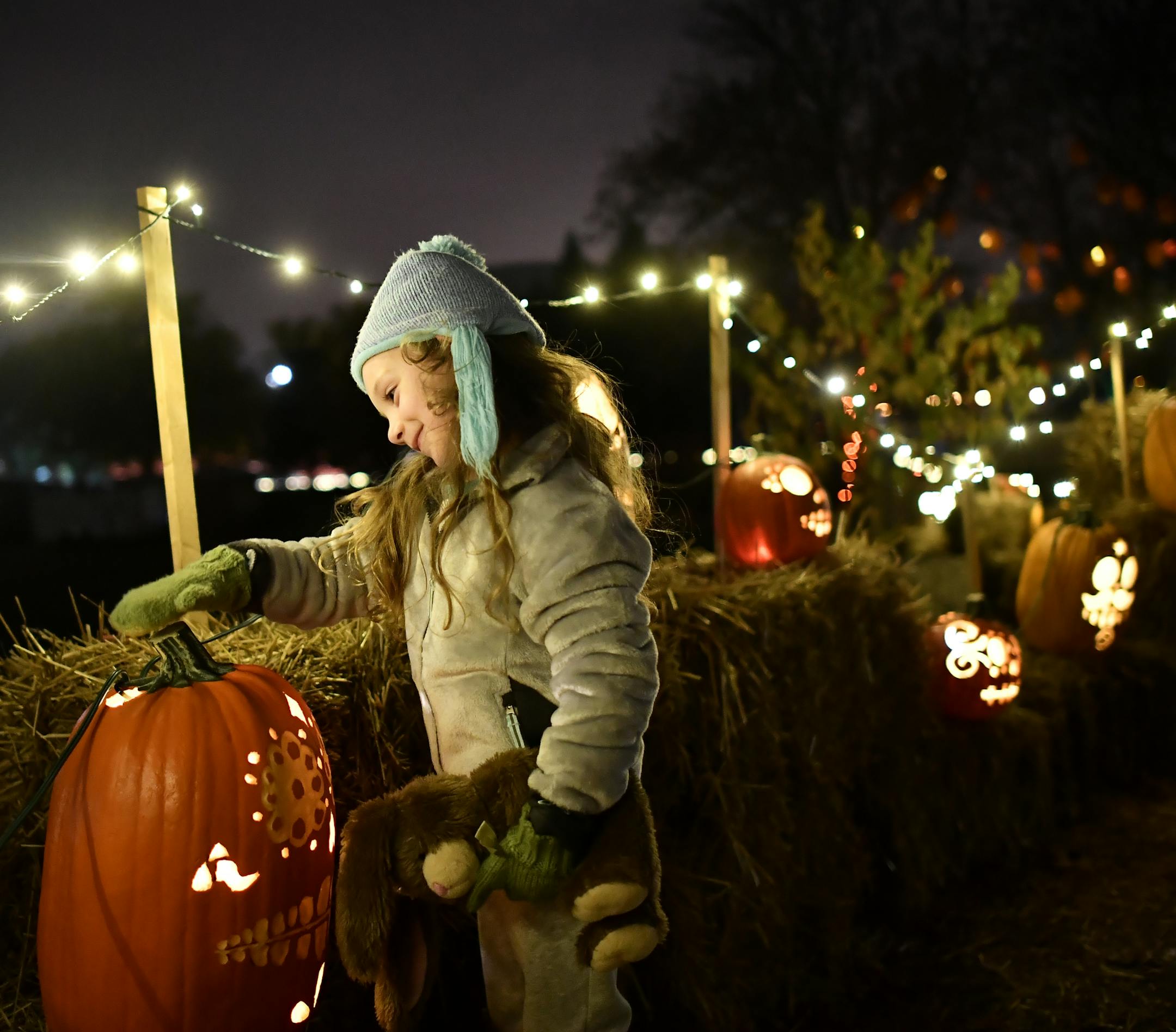 Penny Knudson, 5, of St. Paul, made it a point to touch each of the Dia de los Muertos themed pumpkins as she walked along the half-mile long path at Pumpkin Nights Sunday with her grandparents. ] (AARON LAVINSKY/STAR TRIBUNE) aaron.lavinsky@startribune.com More than 3000 carved and lit pumpkins were displayed along a half-mile long path for Pumpkin Nights at the Minnesota State Fairgrounds. We photograph the second to last night of the Halloween event on Sunday, Oct. 30, 2016 in Falcon Heights,