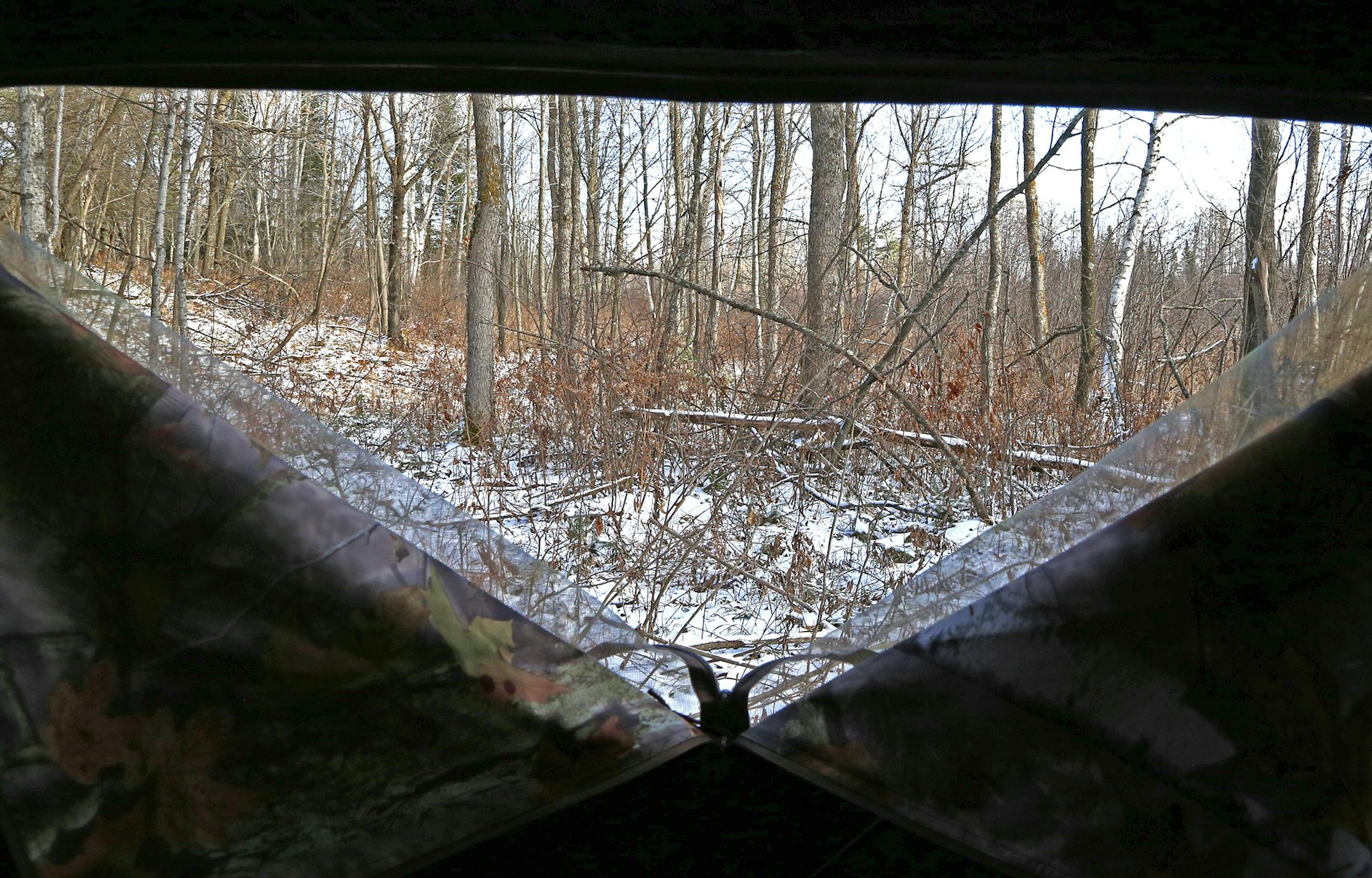 The view from a ground blind: A hunter can't see far, but the mobility of a ground blind allows placement in strategic places. Safety is important: Blinds on public land in Wisconsin must be marked on all sides with blaze orange.
