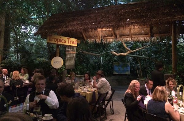 Beastly Ball guests enjoyed a multi-course dinner outside the Minnesota Zoo’s Tropics Trail on April 29.
