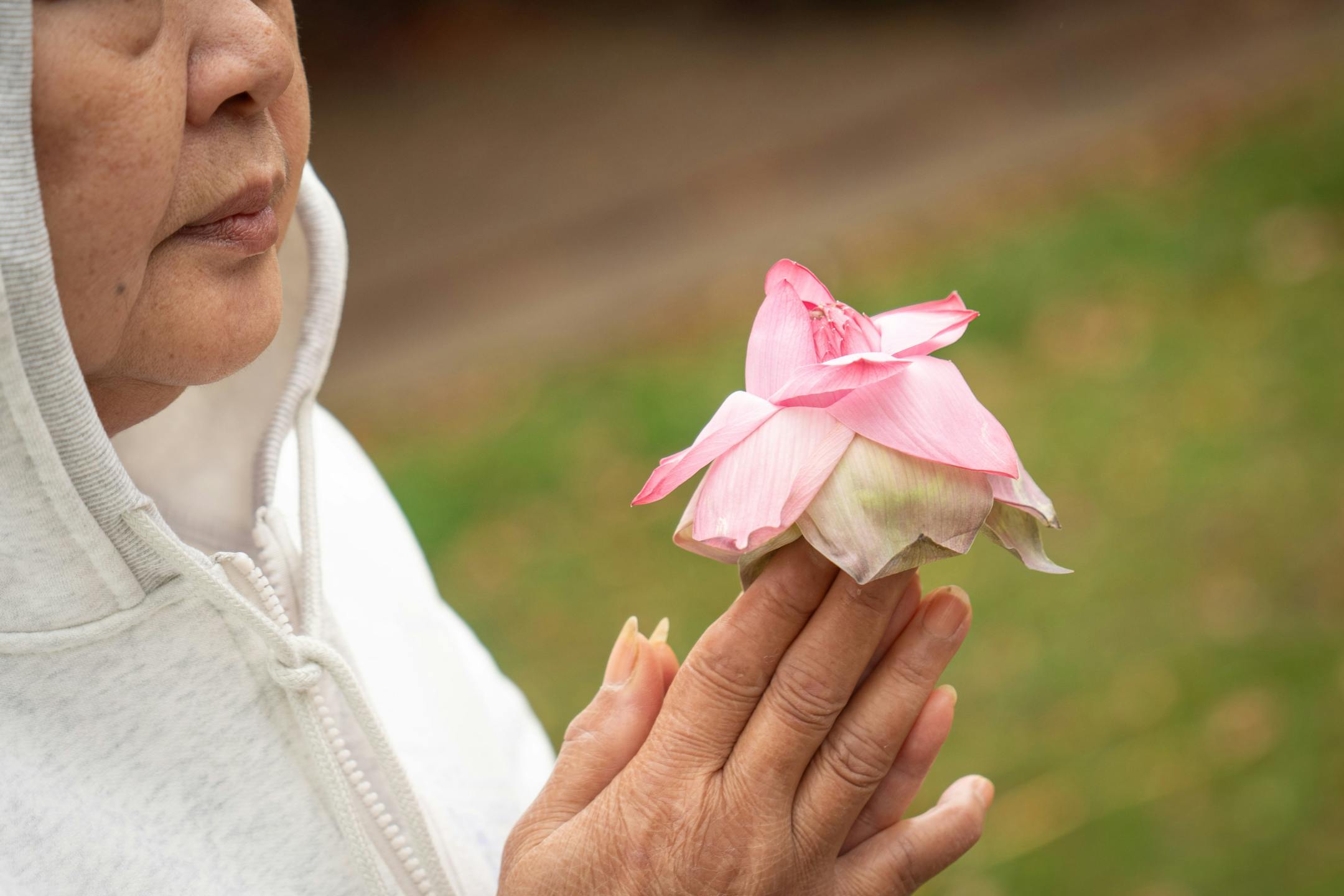 Attendees brought lotus blossoms to be placed on the Stupa Friday, Oct. 6, 2023 Minneapolis, Minn. This Stupa Unveiling marks a significant milestone in the history of Minnesota Buddhist Vihara and is an occasion of great joy and appreciation. A Stupa is a large white cement dome topped with a brass pinnacle. A sacred stupa is a physical structure in which a relic of the Buddha, enlightened beings, or holy books is enshrined. It creates an opportunity for people to circumambulate and cultivate positive vibration and spiritual development. ] GLEN STUBBE • glen.stubbe@startribune.com