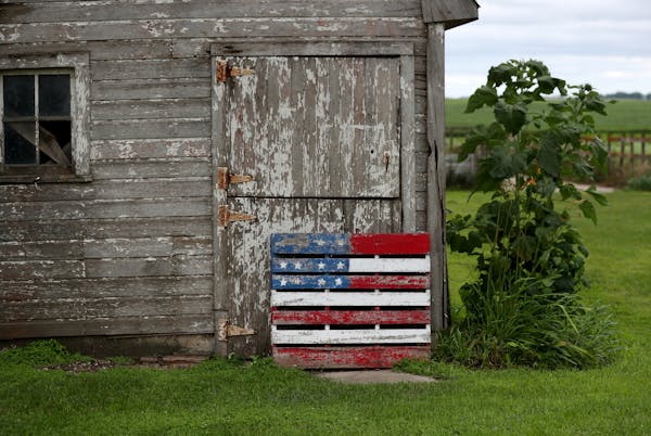 Louriston Dairy, build and operated by Riverview LLP, is home to 9,500 cows, 40 times more than the average U.S. dairy. Here, an American flag painted