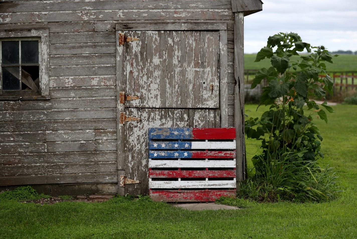 Louriston Dairy, build and operated by Riverview LLP, is home to 9,500 cows, 40 times more than the average U.S. dairy. Here, an American flag painted on an old pallet on the farm small family farmers John and Heidi and Beyer and seen Thursday, July 26, 2018, in Clontarf, MN.] DAVID JOLES &#x2022; david.joles@startribune.com The future of dairy farming is here in western Minnesota, and it's huge, and it comes with dormitories and it makes smaller dairy farmers uneasy. Riverview Farms is building