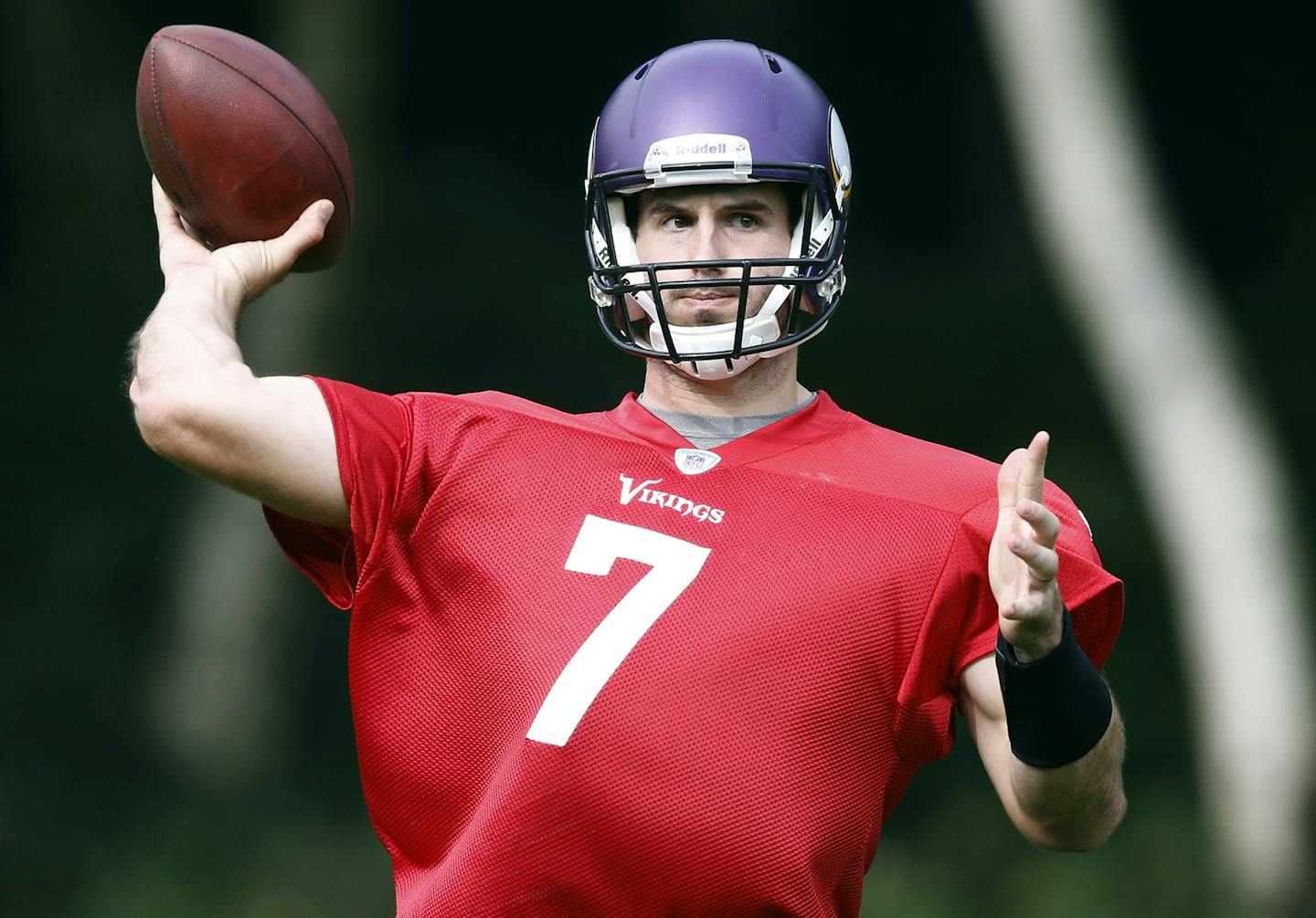 Minnesota Vikings quarterback Christian Ponder (7)