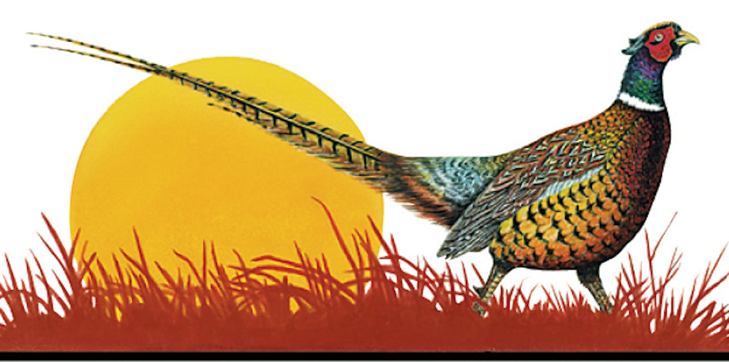 Pheasants Forever logo